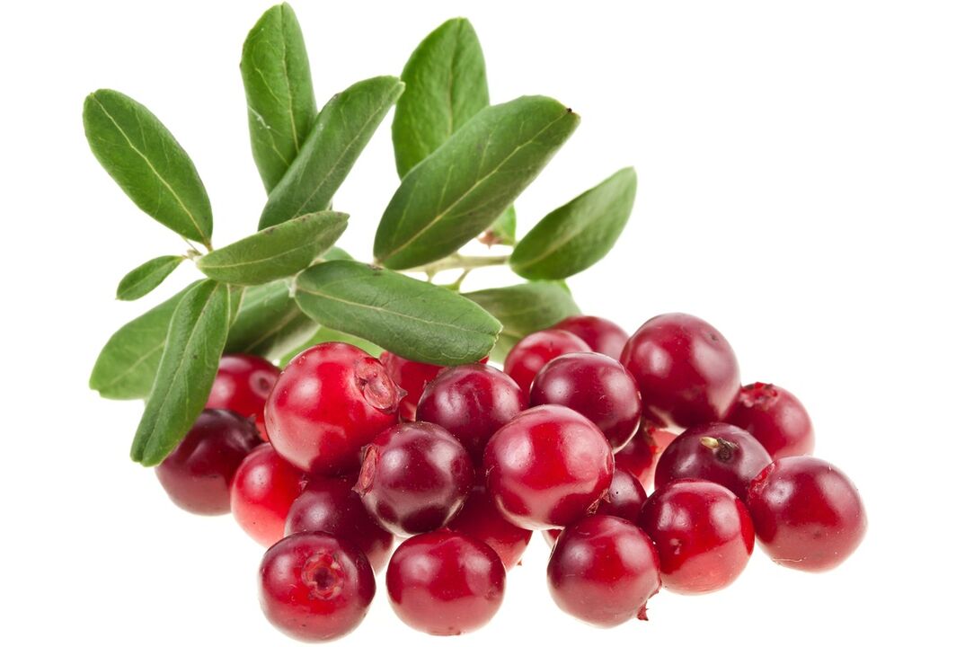brusinky pro léčbu cystitidy